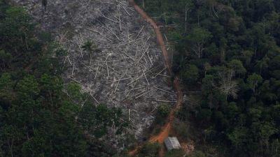 Brazil's Amazon: Deforestation 'surges to 12-year high'
