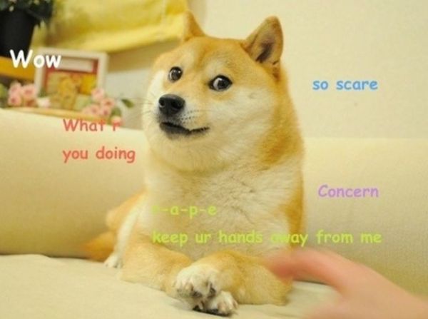 Meme of the decade revealed: All hail the Doge!