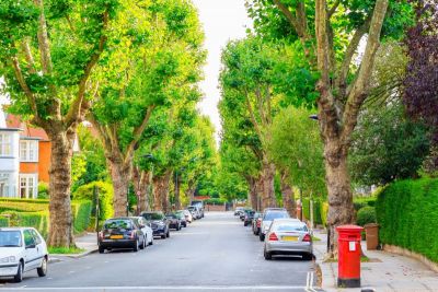 Gardens help towns and cities beat countryside for tree cover