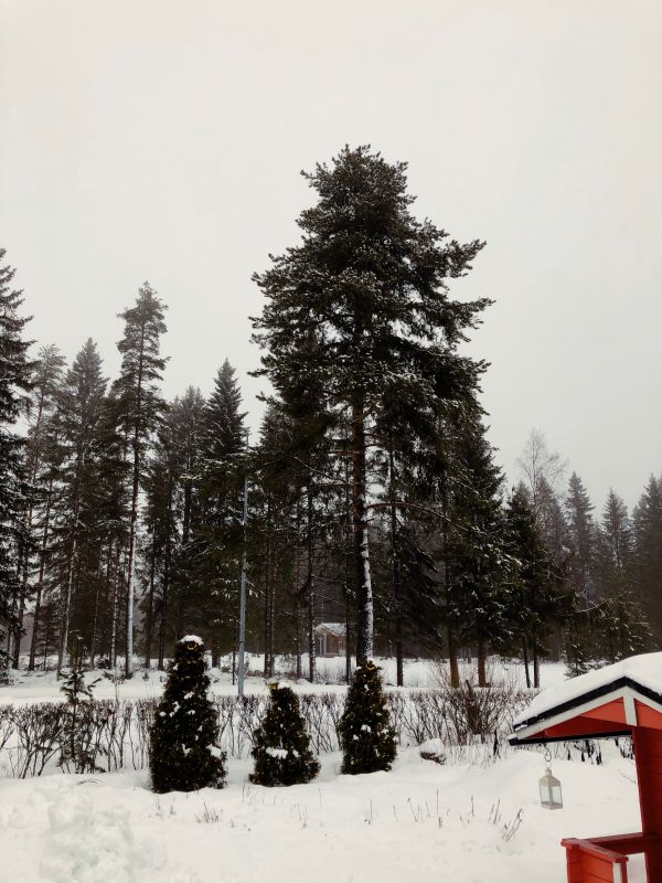 navidad en Finlandia