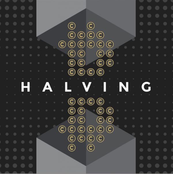 What may be causing Google searches for “Bitcoin Halving” to surge?