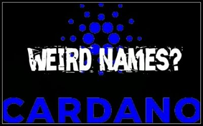 (IJCH) The Weird Names In The Cardano Project - What's Up With That? (Cool Anectdotes)