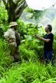 Jumanji movie streaming